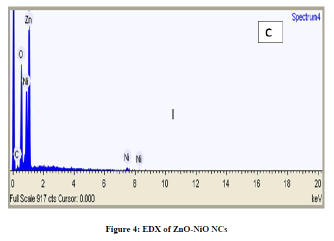 Pharmaceutical-Research-EDX