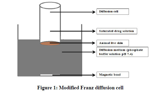 Pharmaceutical-Research-Franz