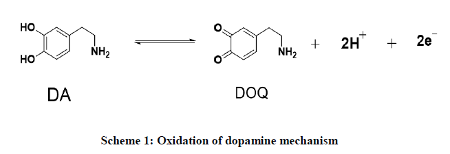 Pharmaceutical-Research-Oxidation