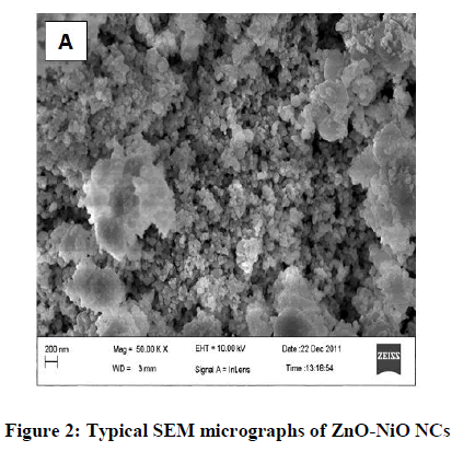 Pharmaceutical-Research-micrographs