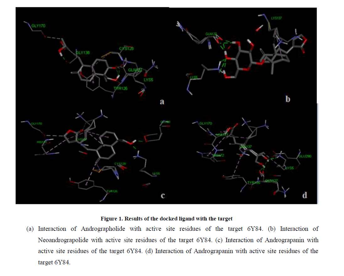 chemical-pharmaceutical-docked