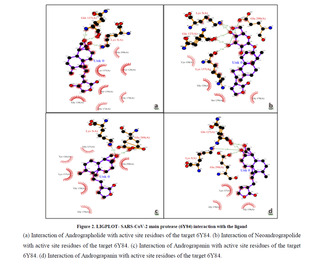 chemical-pharmaceutical-ligand