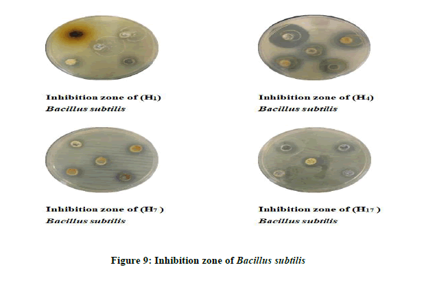 chemical-bacillus-subtilis