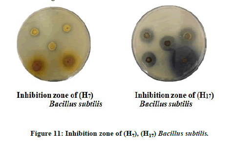 chemical-bacillus-subtilis
