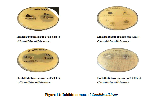 chemical-candida-albicans