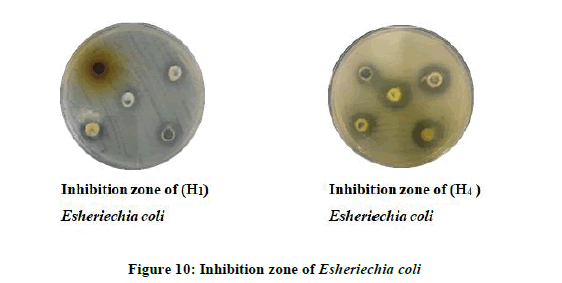 chemical-esheriechia-coli