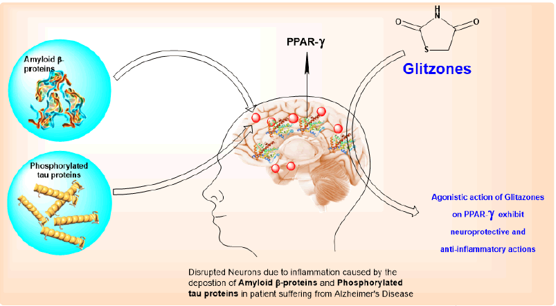 jocpr-amyloid