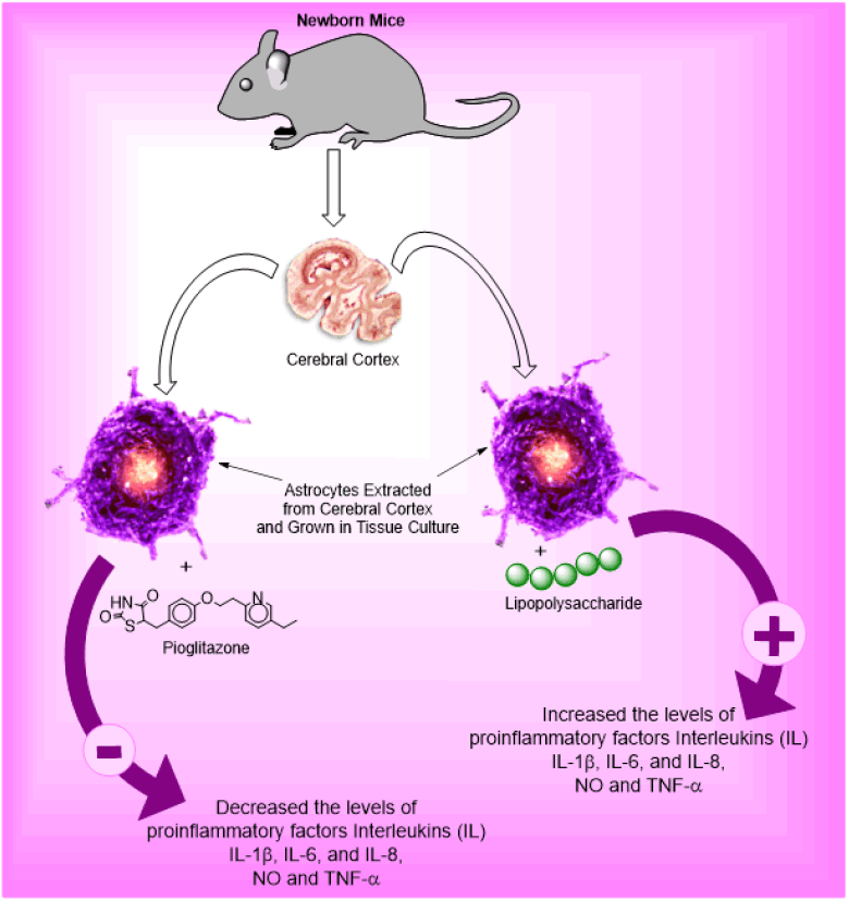 jocpr-amyloid