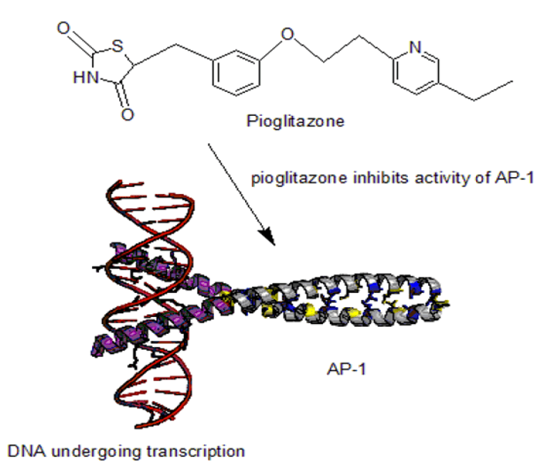 jocpr-amyloid