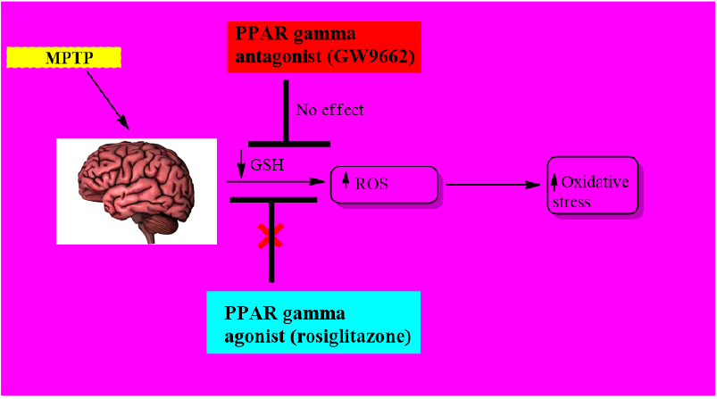 jocpr-amyloid